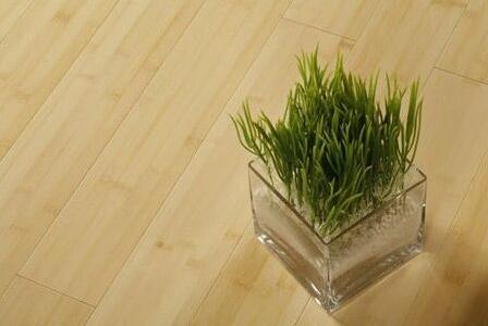 地板绿色装修 ，如何装修才算是真正的绿色环保装修呢？